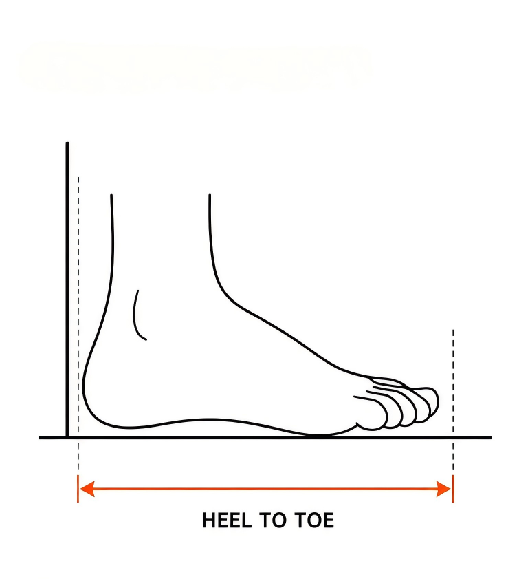 How to measure foot length in centimetres