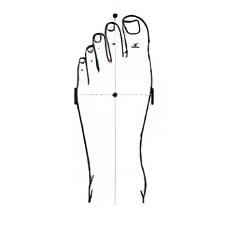 Standard foot shape